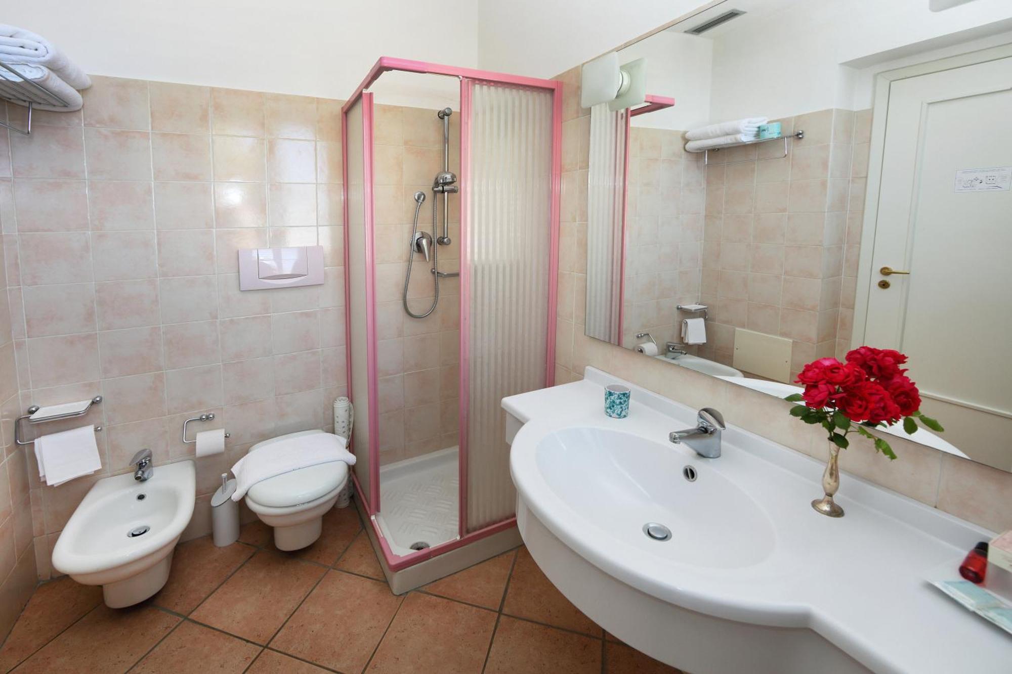 Superior Double or Twin Room Mountain View